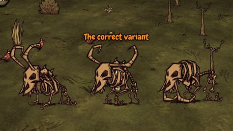 dst odd skeleton